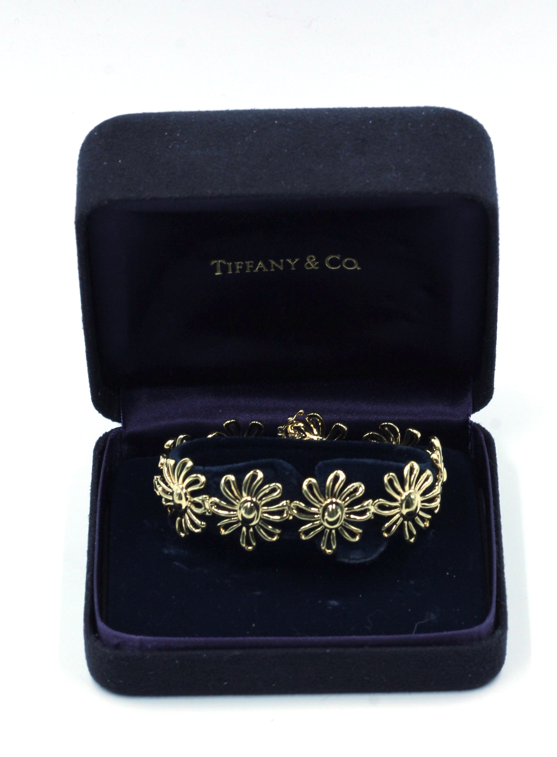 RARE Preloved Tiffany & Co. Paloma Picasso Endless Crystal Dot Silver  Bracelet