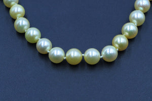 Vintage Golden South Sea Pearl Necklace, SOLD